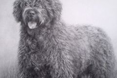 Retrato a lápiz · Urko