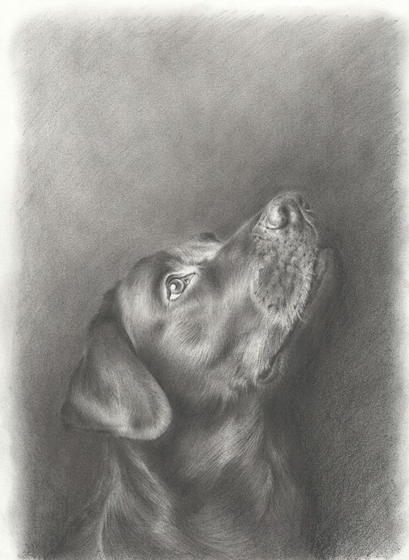 Retrato a lápiz