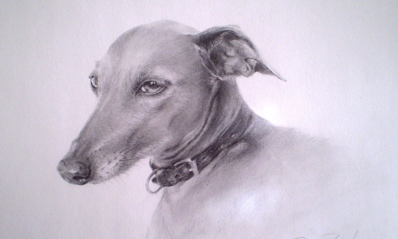 Retrato a lápiz