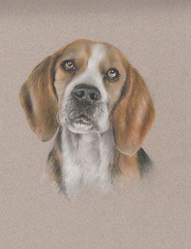 Retrato a lápiz