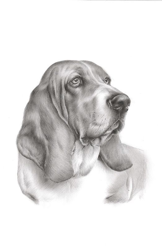 Retrato a lápiz